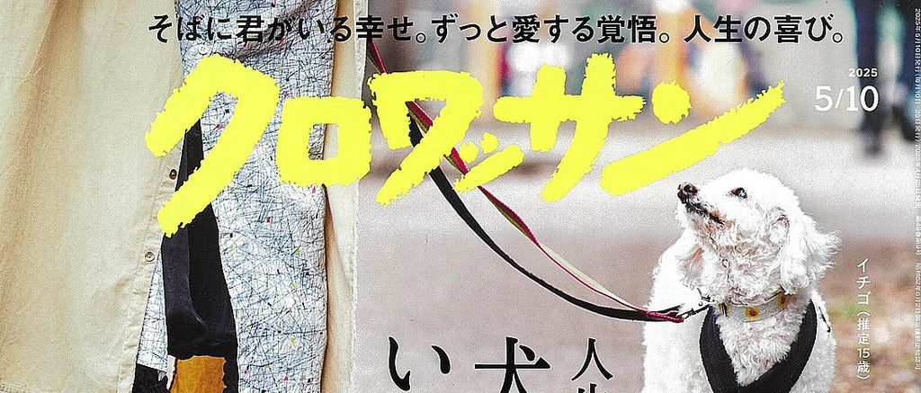 『クロワッサン』1140号に掲載されました。
