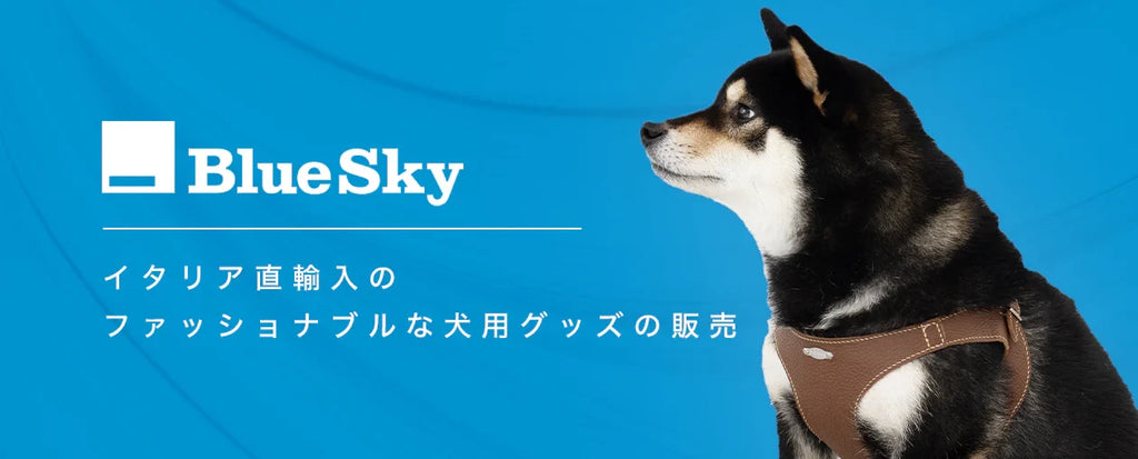 Pupakiotti BlueSky