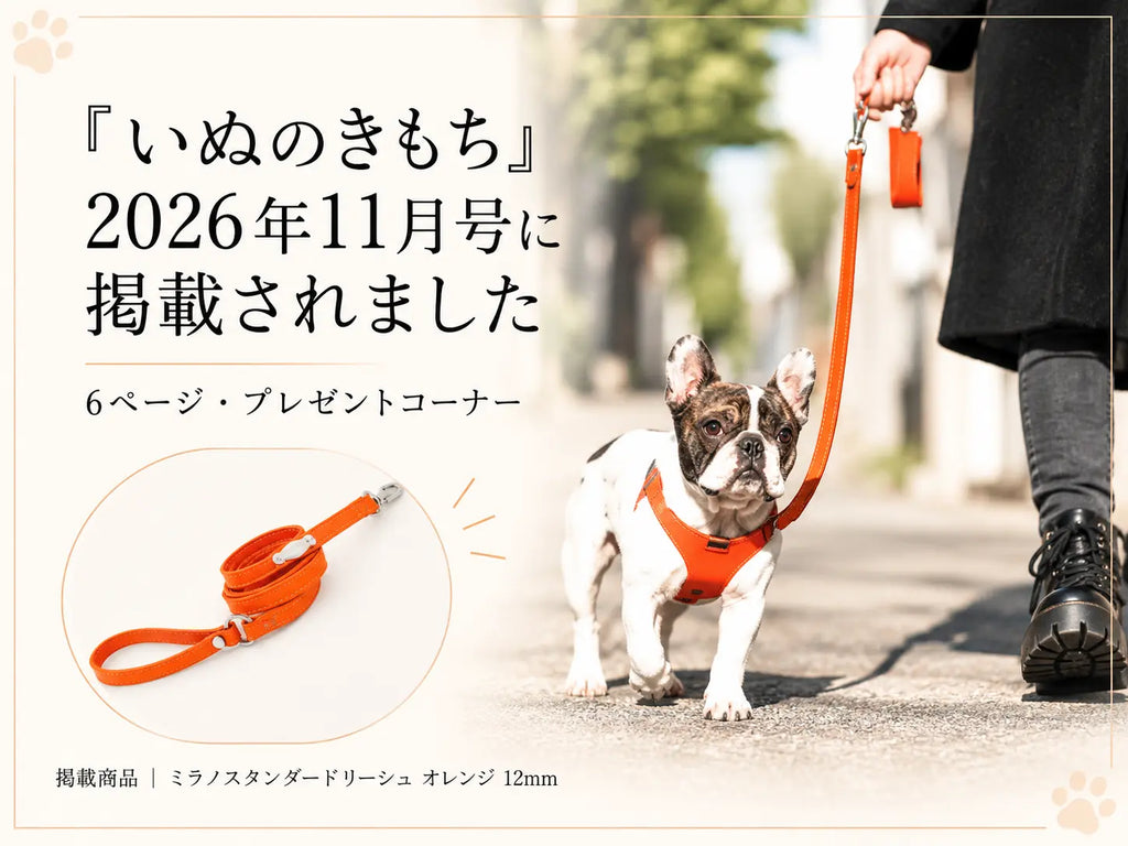 「いぬのきもち」2026年11月号に掲載されました