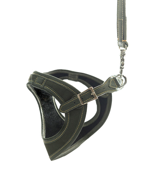 ミラノハーネス_オールウェザー